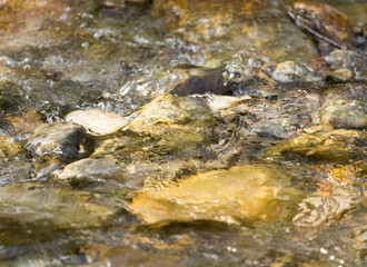 stones in the mountain river