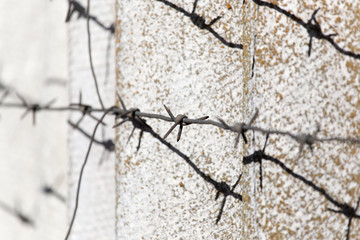 barbed wire fence