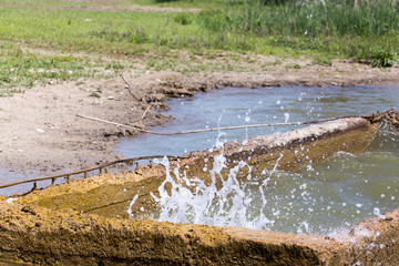 water from a spring