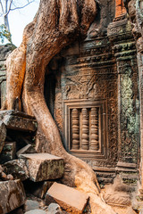 Fototapeta premium temple Ta Prohm