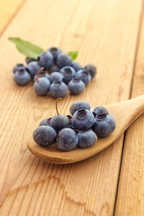 Blueberries