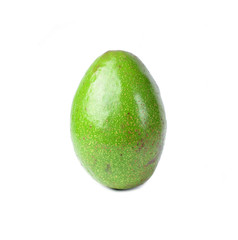 Avocado Organic Vegetable Garden isolated on white