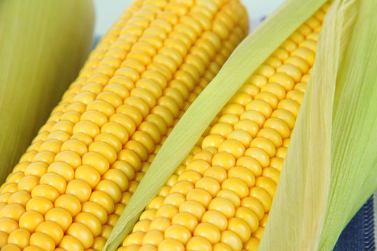 Crude corns on napkin isolated on white