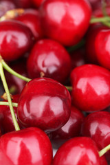Ripe sweet cherries, close up