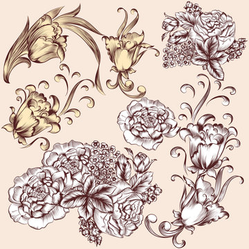 Collection of vector hand drawn flowers