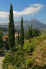 102129 Cyprès à La Garde