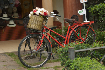Fototapeta na wymiar Bicycle decorated with flower pot