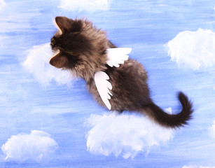 Beautiful kitten with paper wings, on bright background