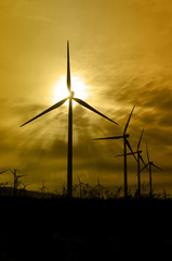 Fototapeta premium Wind Turbine Silhouettes