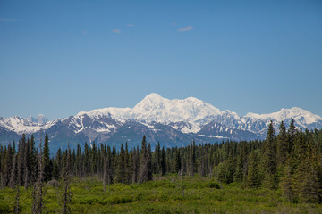Fototapeta na wymiar Mount McKinley