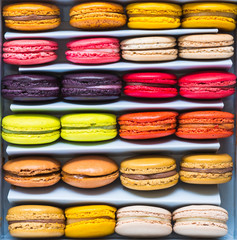 French colorful macarons in a rows