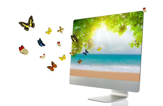 Computer display with butterfly isolated on white background