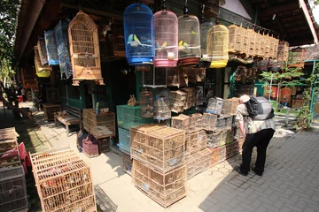Fotobehang Indonesië / Yogyakarta vogels markt © Brad Pict