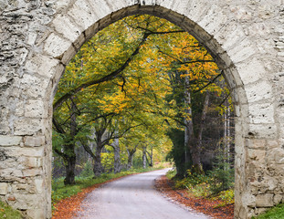 Countryside road in autumn, Vidzeme, Latvia