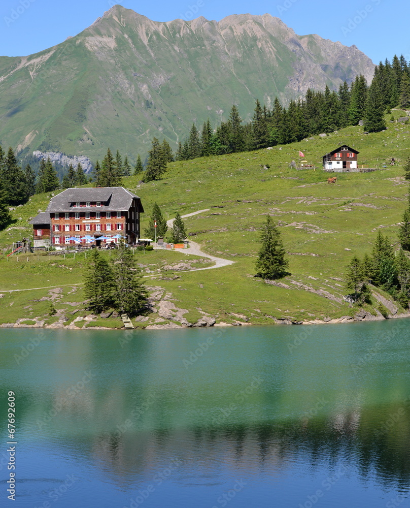 1000_F_67692609_p48HroSQHo8koPaBRBIK7fLZfJnJuwua.jpg