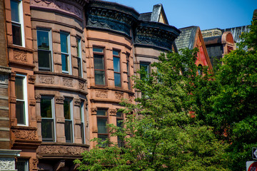 building in harlem