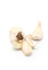 garlic