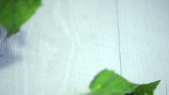 Physalis fruits