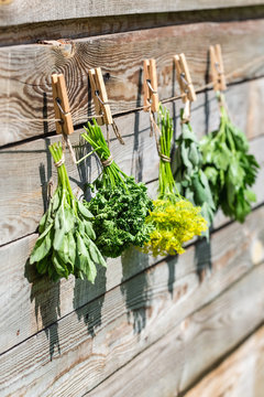 Herbs hanging over wooden background