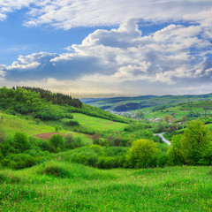 Fototapeta na wymiar village on hillside meadow with forest