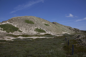 Dünen auf Sylt