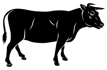 Cow or bull beef illustration