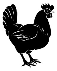 Chicken food illustration