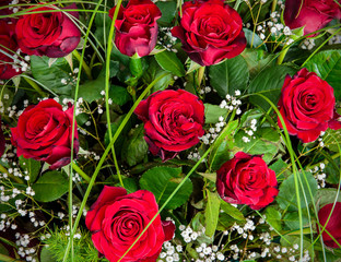 Red roses bouquet