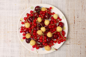 Mixed  berries in bowl