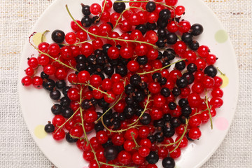 Mixed black adn red currants in a bowl