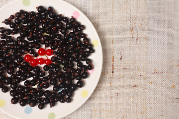 Black and red currants in a bowl