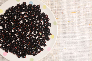 Black currants in a bowl