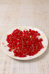 Red currants in a bowl