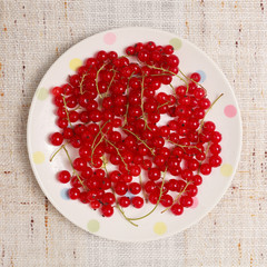 Red currants in a bowl