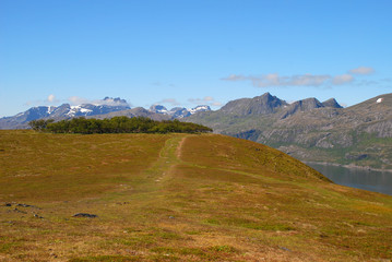 auf den Lofoten