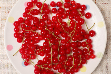Red currants in a bowl