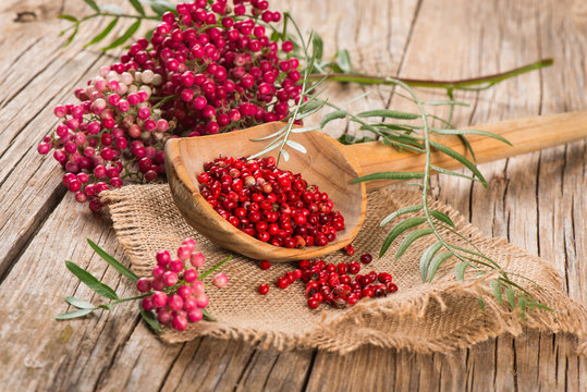 red peppercorns on a twig and dry in a wooden spoon