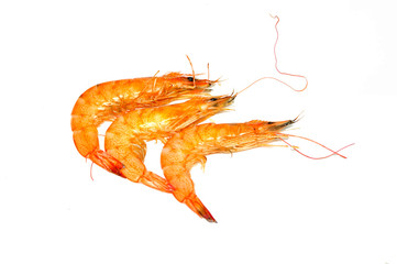 Grilled shrimp on a white background.