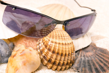 Obraz premium Sonnenbrille mit Muscheln auf einem Handtuch
