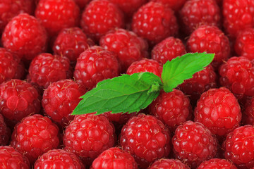 Ripe sweet raspberries, close up