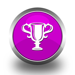 BOUTONS RONDS VIOLET