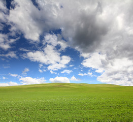 Fototapeta na wymiar green hill with grass under sky