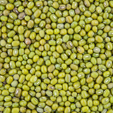 texture of mung bean grain