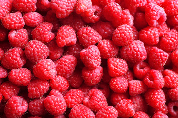 Ripe sweet raspberries close-up