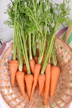 Fresh carrot in basket on table close up
