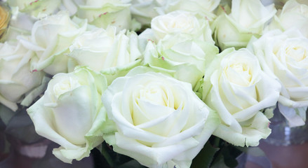 Obraz na płótnie Canvas Close-up of bright bunch of fresh big beautiful white roses