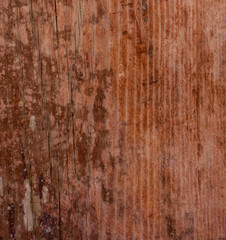 Obraz premium surface