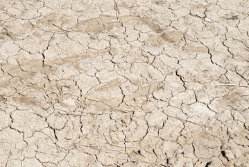 Dry Soil