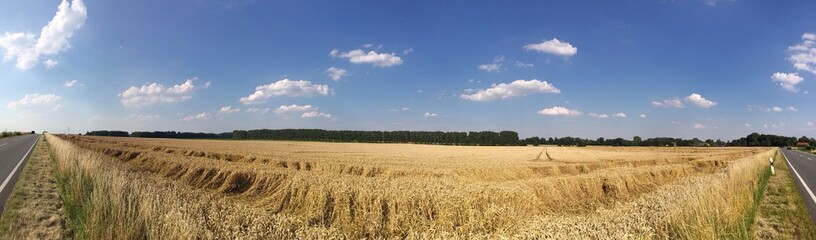 Ländliches Panorama