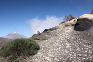 Tenerife, roches blanches sur le flanc de Teide